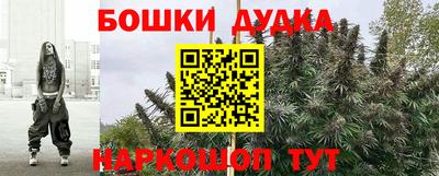 apvp Кунгур
