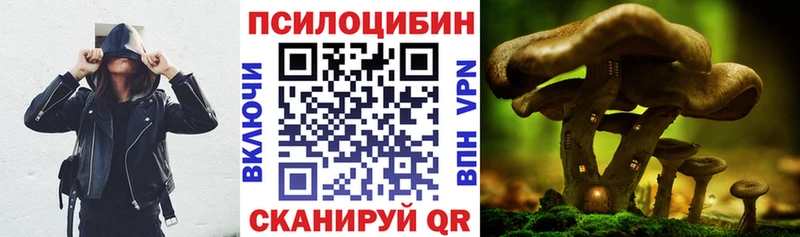 Галлюциногенные грибы Psilocybe где продают наркотики Нягань