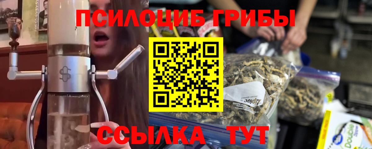 Галлюциногенные грибы MAGIC MUSHROOMS  Псилоцибиновые грибы Cubensis  Нягань  Вход с VPN 
